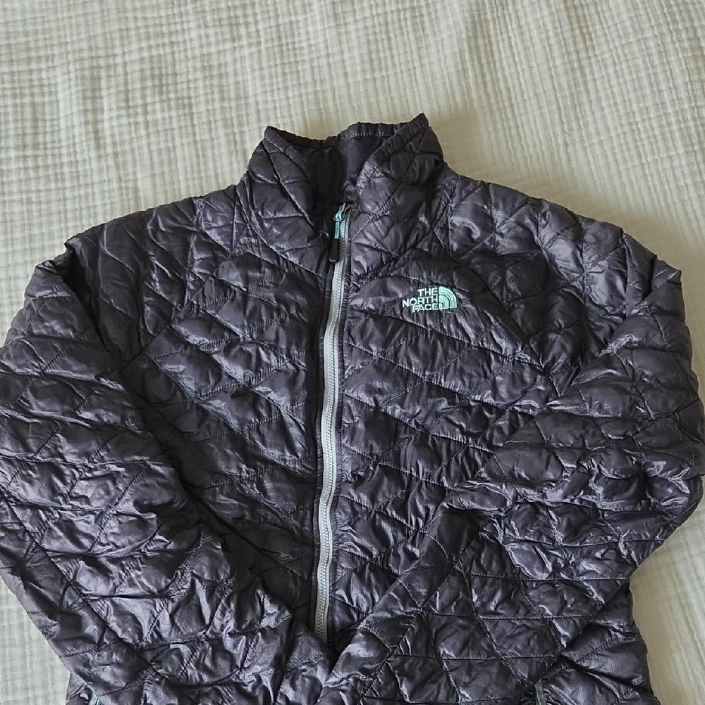 The North Face Quilted Jacket in Purple